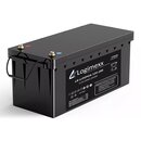 LiFePo4 Lithium Akku 12V - 200Ah