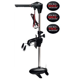 Rhino VX 44 set LiFePo4 battery 100Ah