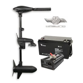 Haswing Osapian 55 LiFePo4 Lithium Akku Set